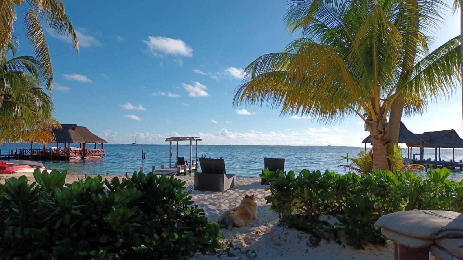 Cancun Private Apartment 외부 사진